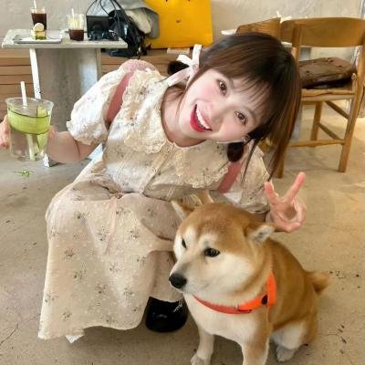 诡盒